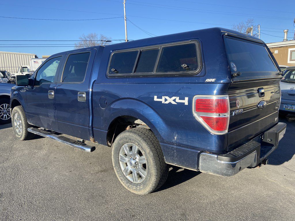 2010 Ford F-150 Image 3