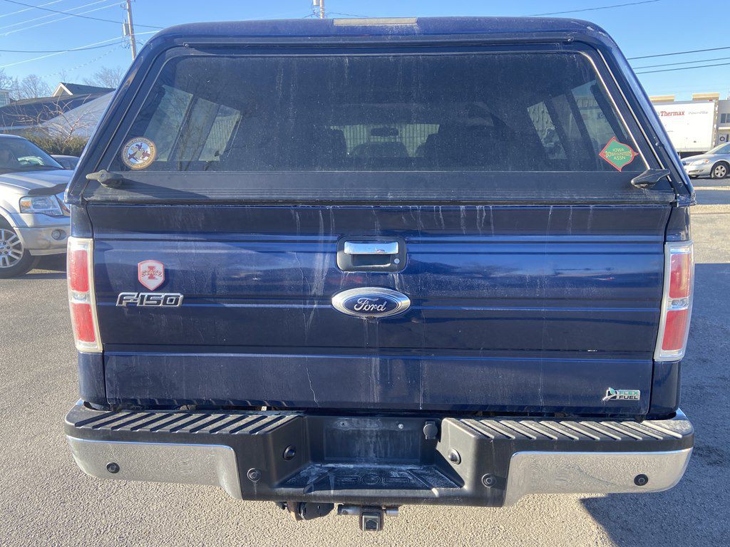 2010 Ford F-150 Image 4