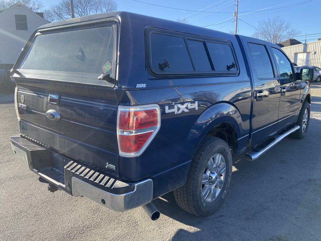 2010 Ford F-150 Image 5