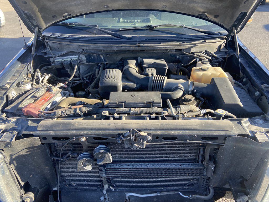 2010 Ford F-150 Image 19