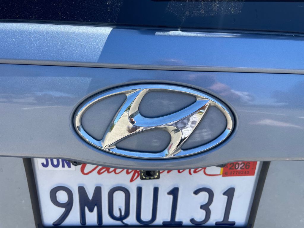 2008 Hyundai Entourage Image 15