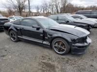 Image for 2007 Ford Mustang GT 500 ID: 6098485