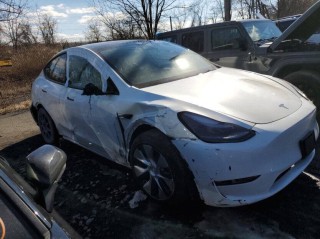 Image for 2023 Tesla Model Y  ID: 6359562
