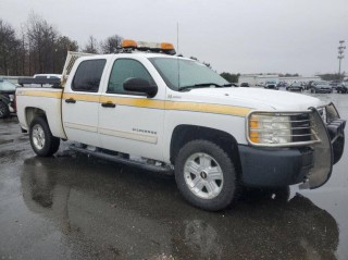 Image for 2010 Chevrolet Silverado 1500  ID: 6396050