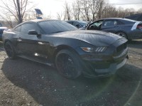 Image for 2019 Ford Mustang Shelby GT350 Fastback ID: 6396054