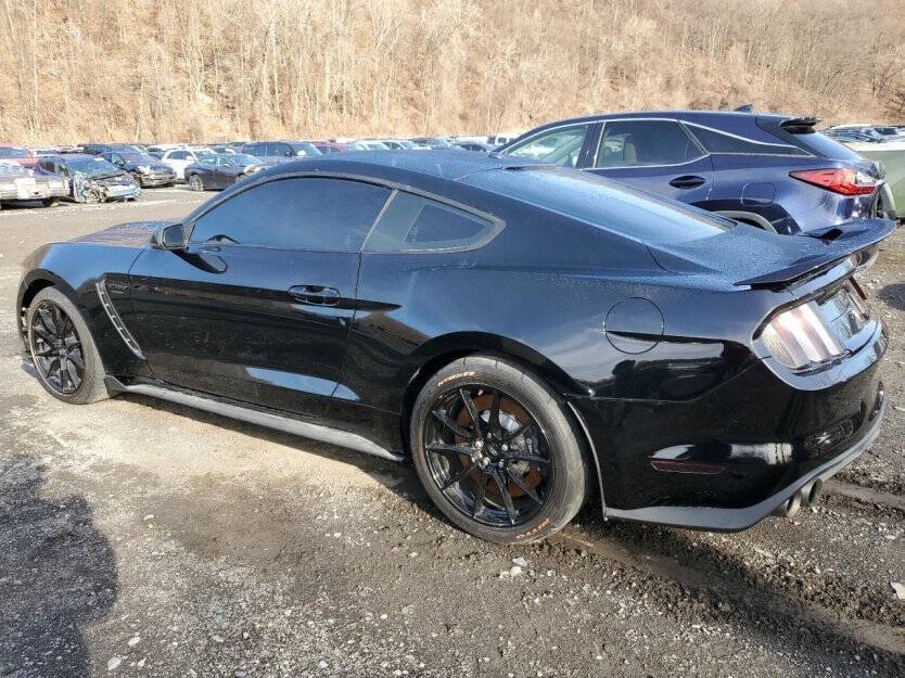 2019 Ford Mustang Image 3