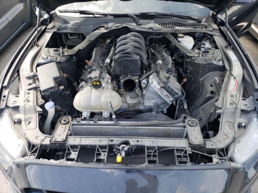 2019 Ford Mustang Image 6