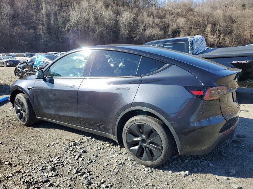 2025 Tesla Model Y Image 4