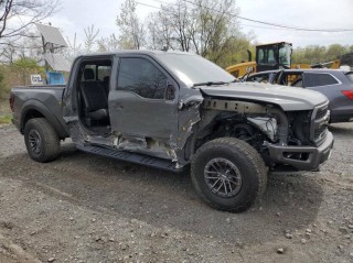Image for 2020 Ford F-150 Raptor SuperCrew 5.5 ft. SB ID: 6503353