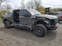 Image for 2020 Ford F-150 Raptor SuperCrew 5.5 ft. SB ID: 6503353