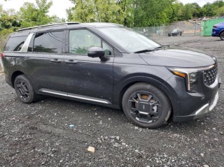 Image for 2025 Kia Carnival Hybrid SX ID: 6569773