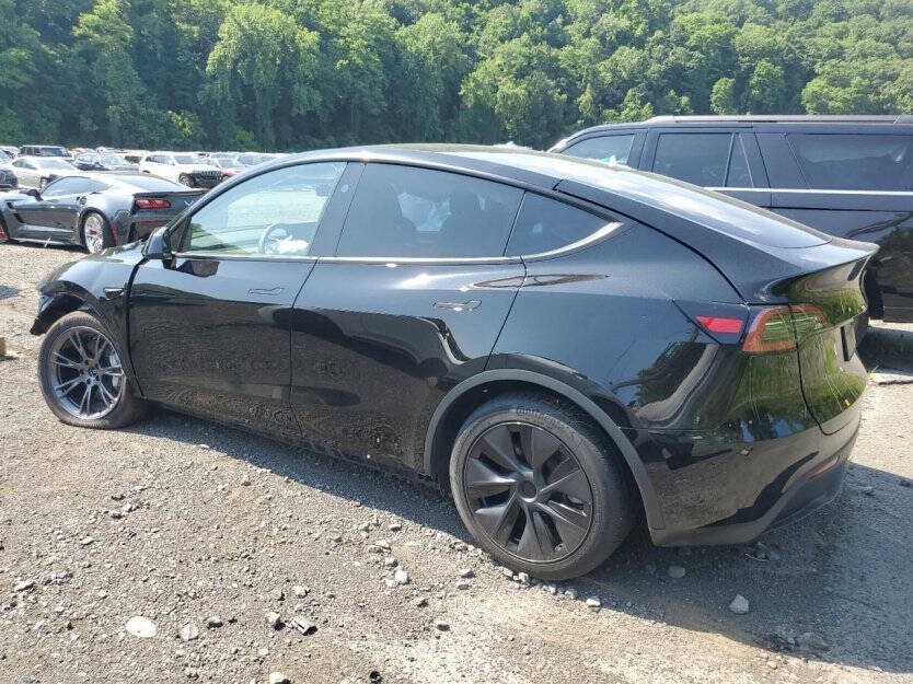2025 Tesla Model Y Image 4