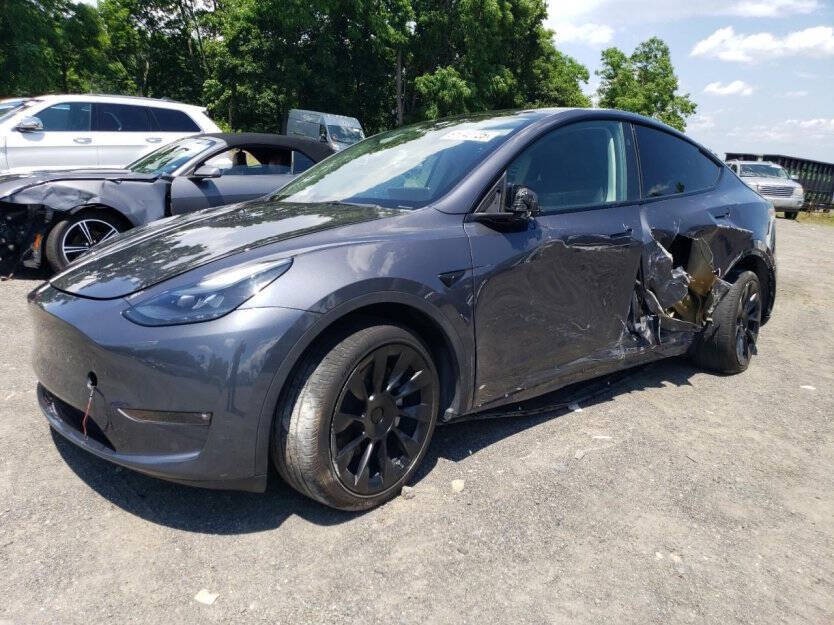 2023 Tesla Model Y Image 2