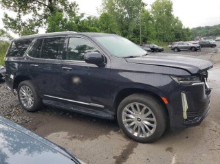 Image for 2024 Cadillac Escalade Premium Luxury ID: 6668212