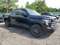 Image for 2024 Toyota Tundra Platinum CrewMax Cab Pickup SB ID: 6739911