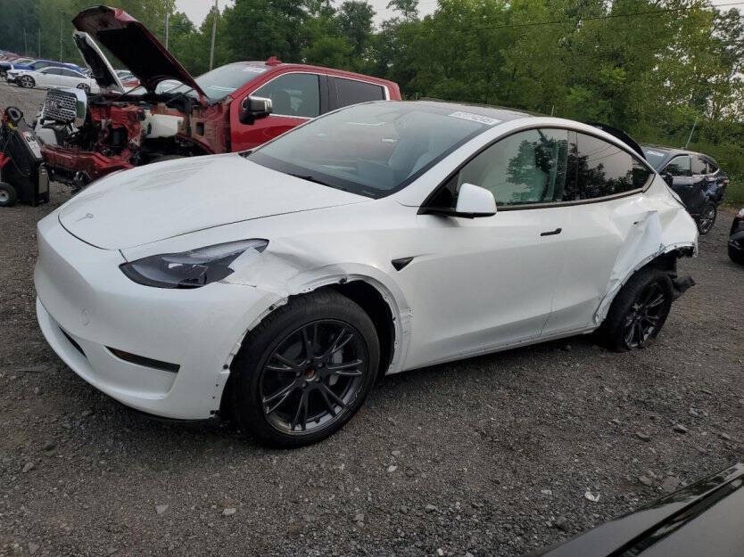 2025 Tesla Model Y Image 2