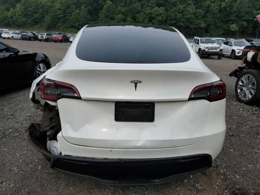 2025 Tesla Model Y Image 4