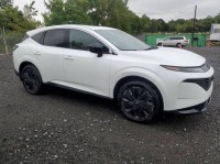 Image for 2025 Nissan Murano Platinum ID: 6793283