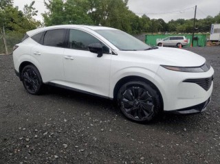 Image for 2025 Nissan Murano Platinum ID: 6793283