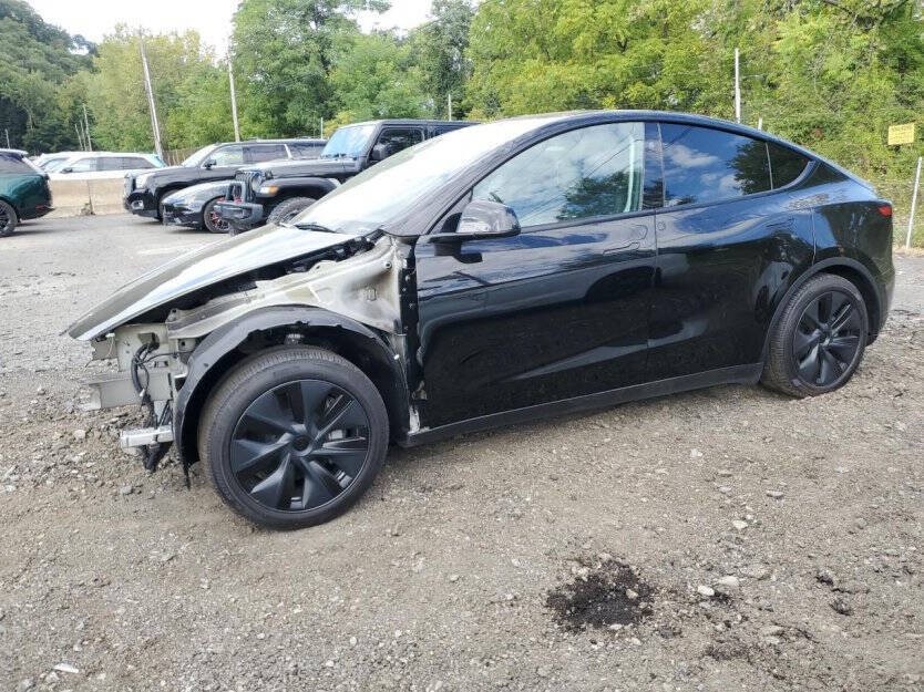 2025 Tesla Model Y Image 3
