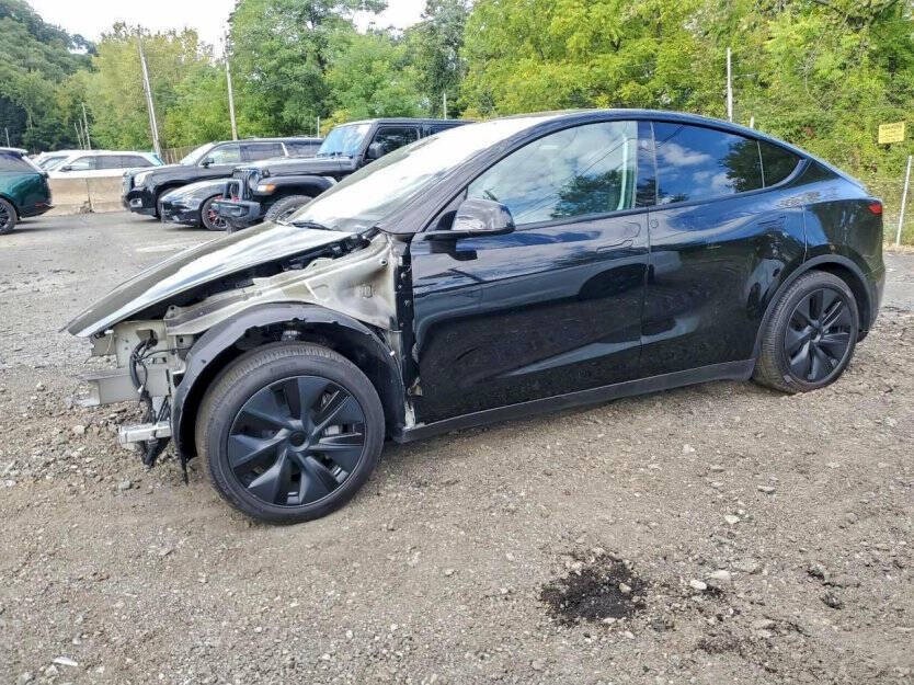 2025 Tesla Model Y Image 3