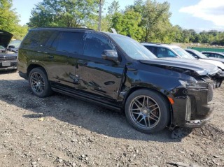 Image for 2023 Cadillac Escalade Sport Platinum ID: 6843880