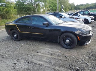 Image for 2021 Dodge Charger Police ID: 6843906