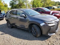 Image for 2024 Lexus NX Base ID: 6858496