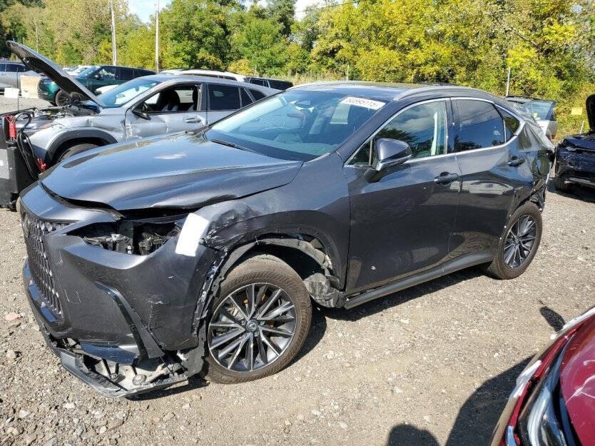 2024 Lexus NX Image 3