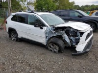 Image for 2024 Toyota Rav4 XLE ID: 6858503