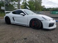 Image for 2016 Porsche Cayman GT4 ID: 6858515