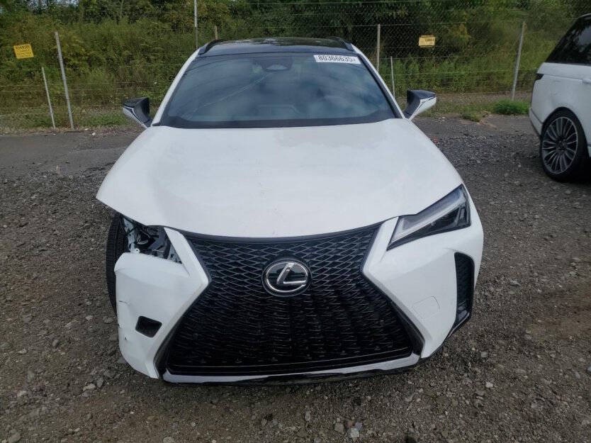 2025 Lexus UX 300h Image 2