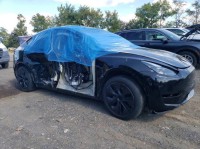 Image for 2024 Tesla Model Y Long Range ID: 6858533