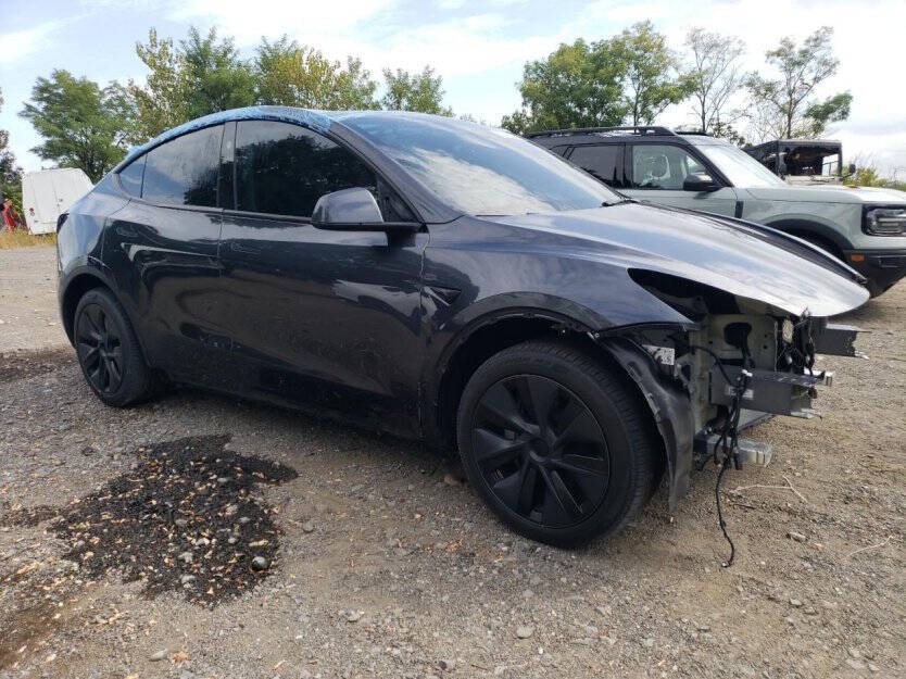 2025 Tesla Model Y Image 1