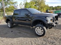 Image for 2020 Ford F-150 Raptor SuperCrew 5.5 ft. SB ID: 6901252