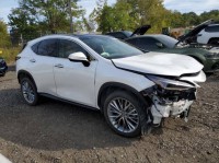 Image for 2025 Lexus NX Luxury ID: 6901263