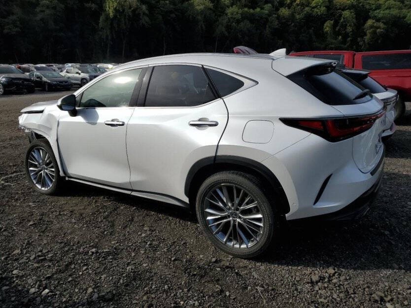 2025 Lexus NX Image 4