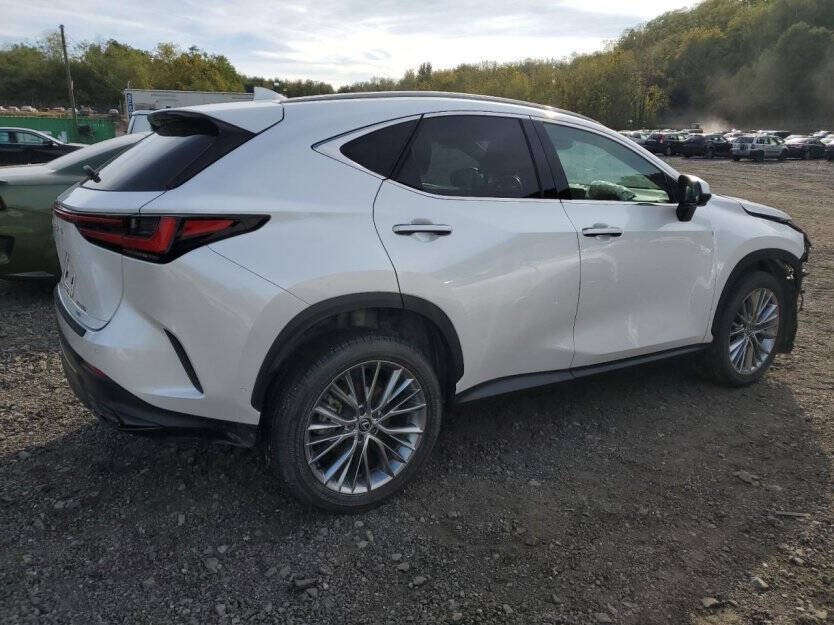 2025 Lexus NX Image 5