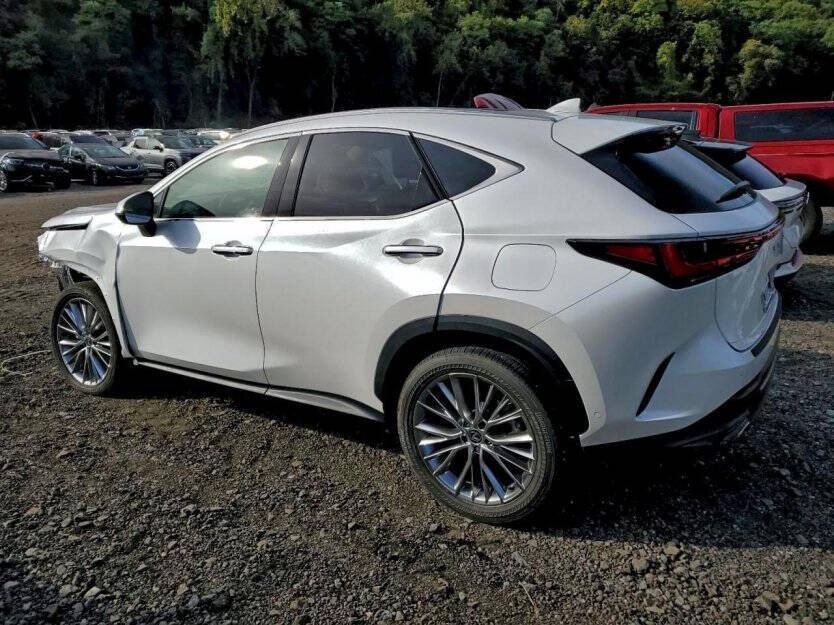 2025 Lexus NX Image 4