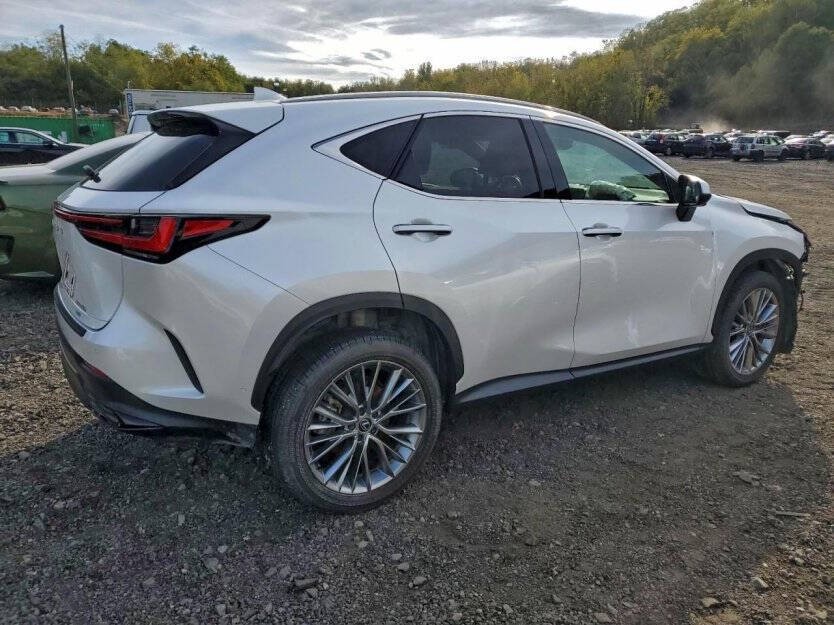 2025 Lexus NX Image 5