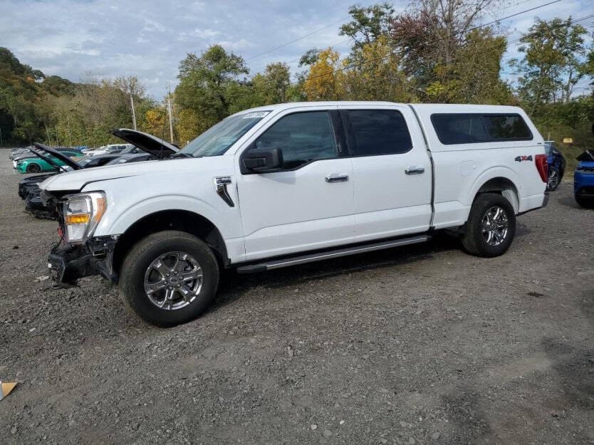 2023 Ford F-150 Image 3