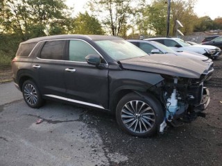 Image for 2025 Hyundai Palisade Calligraphy ID: 6936967