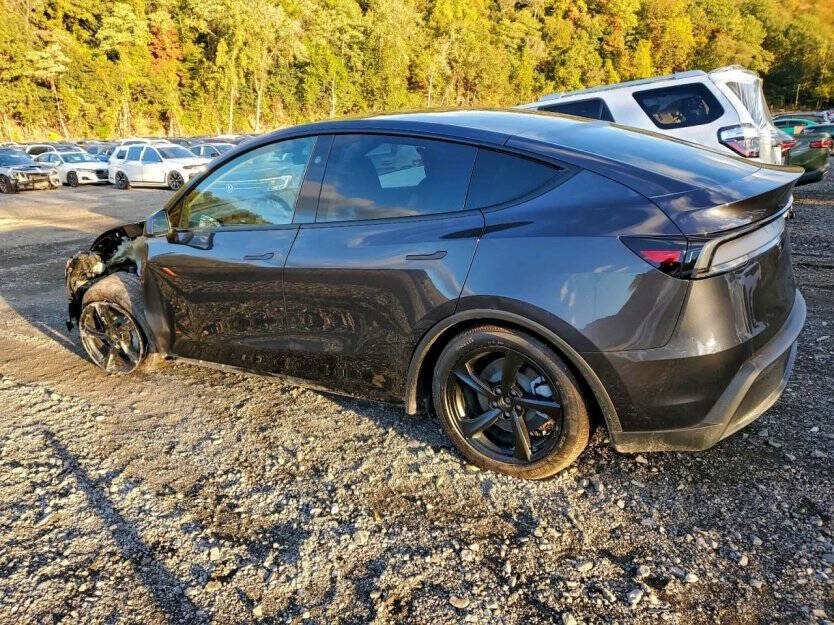 2026 Tesla Model Y Image 4