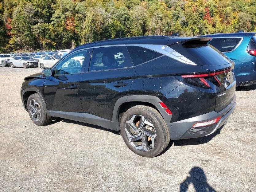 2024 Hyundai Tucson Image 4