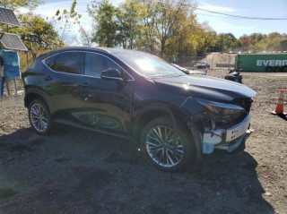 Image for 2025 Lexus NX Premium ID: 6950077