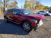 Image for 2025 Cadillac Optiq Luxury 1 ID: 6971611