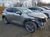Image for 2025 Lexus NX Premium ID: 7022638