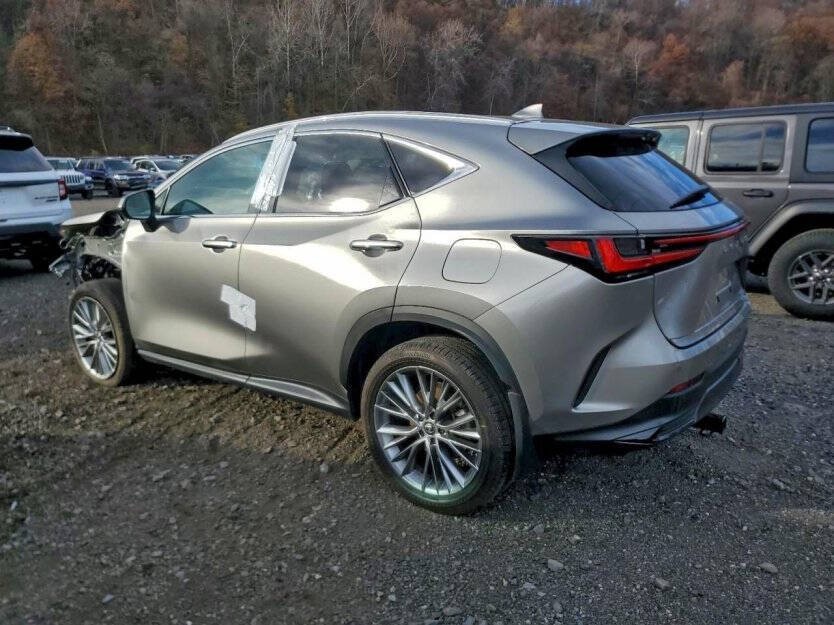 2025 Lexus NX Image 4