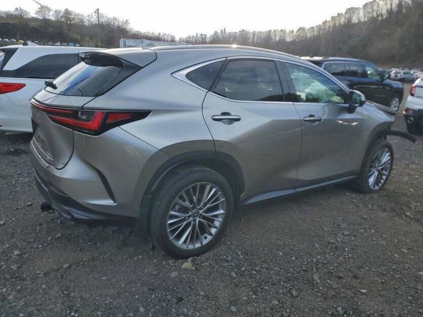 2025 Lexus NX Image 5