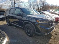 Image for 2025 Honda Pilot TrailSport ID: 7022648
